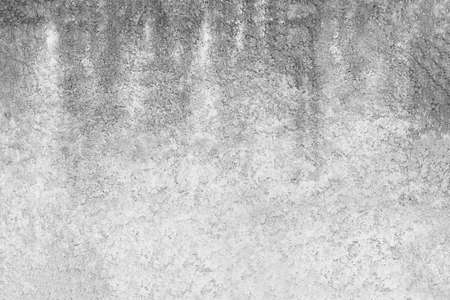 surface of old cement wall for the design background.の写真素材