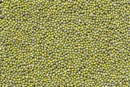 Fresh seed green beans for design background in your work.