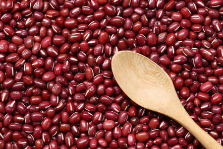 Fresh small seed of red beans and have empty wooden spoon for design in your work.