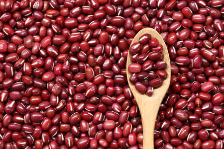 Fresh small seed of red beans in wooden spoon for design in your work.の写真素材