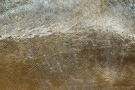 Texture of Manakatsuo fish,Fish scale for design background in your work.
