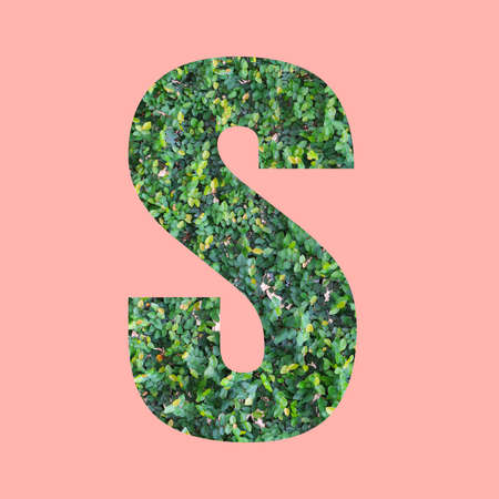 Alphabet letters of shape S in green leaf style on pastel pink background for design in your work.の写真素材