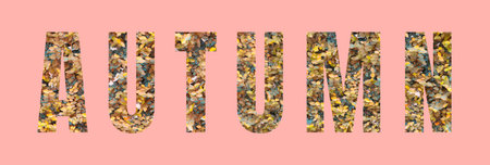 Autumn letter of autumn leaves on pastel pink background for design in your work.の写真素材