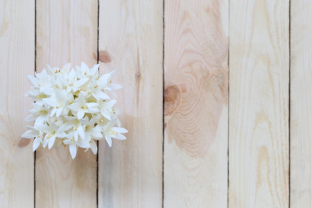 Kasalong flower or Millingtonia hortensis flower is blooming in paper cup on a wooden floor background and have copy space.の写真素材