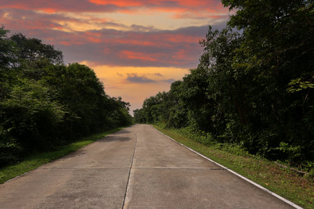 Empty concrete road on both sides of the road is a trees forest and a view of the twilight sky.の写真素材