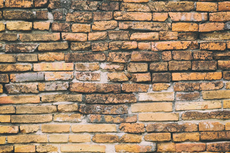 Surface of the red brick wall is old, dirty and covered with black mold for design in your work Texture backdrop concept.の写真素材