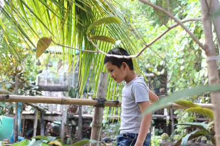 A young child explores a lush green environment filled with plants and trees. The serene atmosphere encourages a sense of adventure and discovery.の写真素材