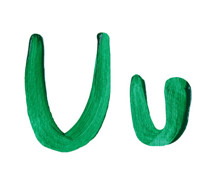 Artistic representation of the letters U and u painted in vibrant green with isolated on white background and have clipping paths, perfect for educational and creative design projects.の写真素材