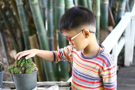 A young boy interacts with cacti in a vibrant garden, showcasing curiosity and exploration. The scene highlights a moment of learning in nature.の写真素材