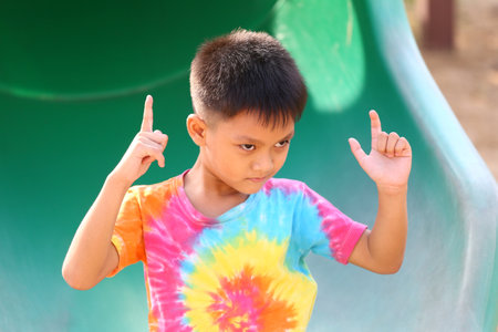 A young boy joyfully poses on a playground slide, showcasing vibrant expressions and colorful attire. Perfect for capturing childhood fun and adventure.の写真素材