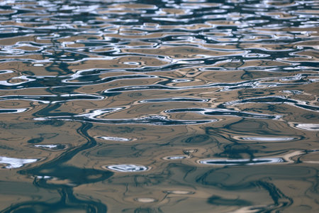Surface of the water in the pool,Bright blue water background.の写真素材