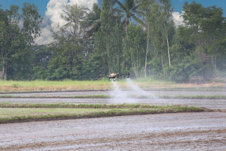 A drone effectively sprays pesticide over a farm field surrounded by lush green trees. This scene captures the integration of technology in modern agriculture for increased efficiency.の写真素材