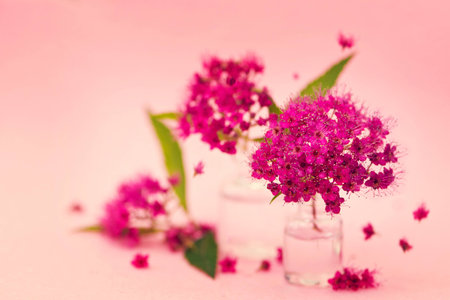 Floral Arrangementの写真素材