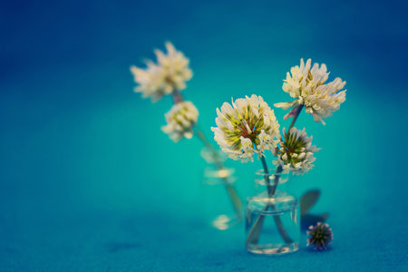 Floral Arrangementの写真素材