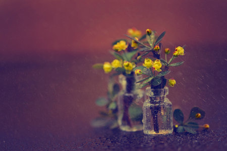 Floral Arrangementの写真素材