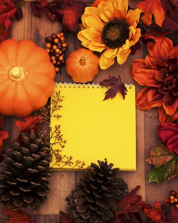 Fall Backgroundの写真素材