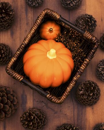 Pumpkins in a basketの写真素材