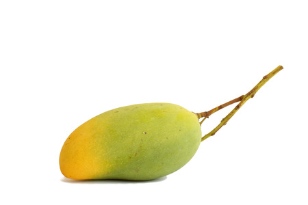 Mangoの写真素材