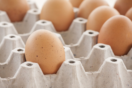eggsの写真素材