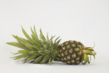 pineappleの写真素材