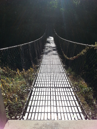 A suspension bridge in the forest, Nepalの写真素材
