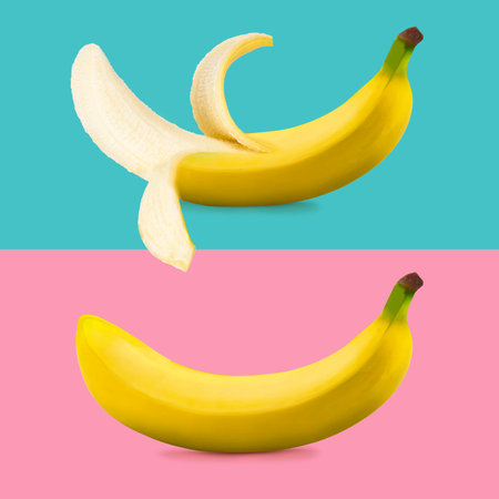 Creative layout made of closed and open banana on pink and blue backgroundの写真素材