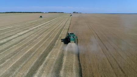 Harvesting the wheat field with agricultural machinery. Aerial photography with a droneの写真素材