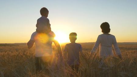 Happy family father mom and two sons walking in a wheat field and watching the sunsetの写真素材