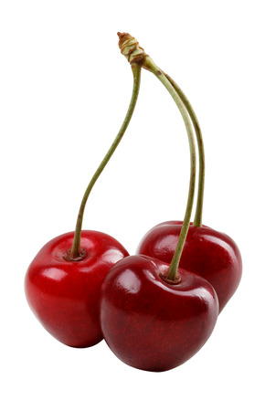 Three red cherries isolated on whit backgroundの写真素材