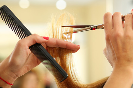 Female hairdresser hold in hand between fingers lock of blonde hair, comb and scissors closeup. Keratin restoration, latest trend, fresh idea, haircut picking, shorten tips, instrument store conceptの写真素材