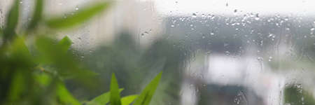 Close-up of rain drops on glass window. Green tree behind apartment window. Blurry city view. Grey...