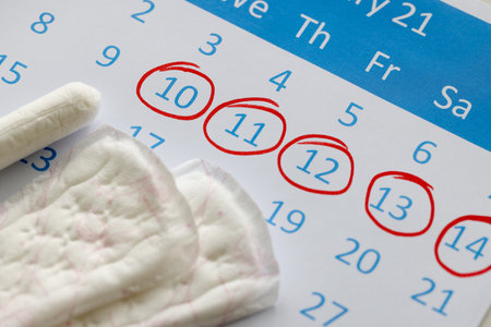 Sanitary pads and tampons are on calendar. Numbers are circled in red pen. Female menstrual cycle conceptの写真素材