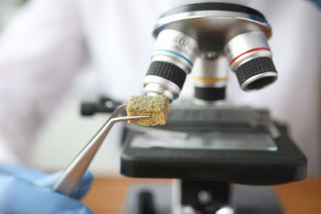Scientist holding sample of moldy tissue near microscope with tweezers closeup. Biological research...