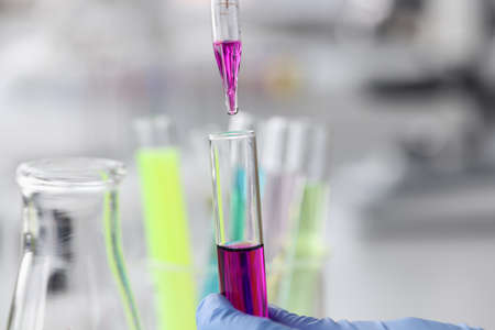 Purple liquid is dropped from pipette into test tubeの写真素材