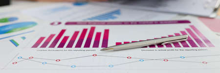 Ballpoint pen lying on documents with graphs and diagrams closeupの写真素材