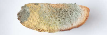 Piece of bread with green mold lying on white background closeupの写真素材