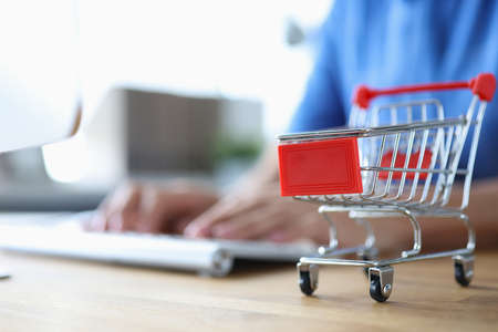 Woman is shopping at online store at home