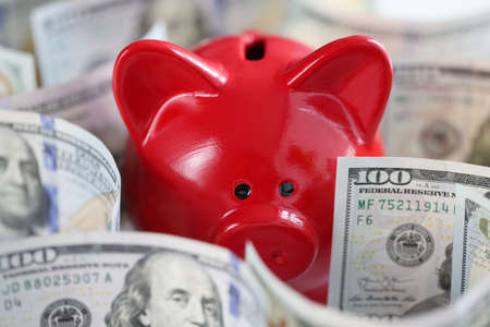 Red pig piggy bank and cash american dollars on tableの写真素材