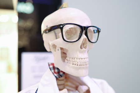 Mock up of human skeleton with glasses closeupの写真素材
