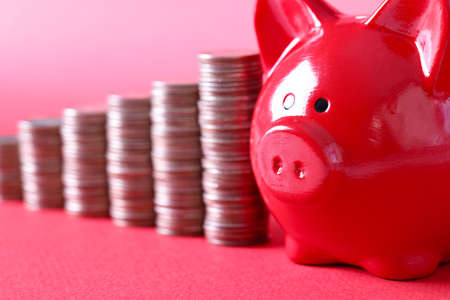 Red pig piggy bank and stacks of coins stand on red backgroundの写真素材