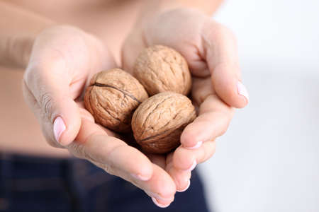 Three ripe walnuts in female hands closeup