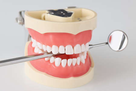 Medical dental mirror in artificial human jaw closeup
