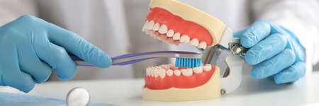 Dentist with gloves holds toothbrush and shows on jaw how to clean teeth correctly