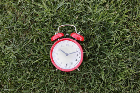 A red alarm clock on uncut green grass close-upの写真素材