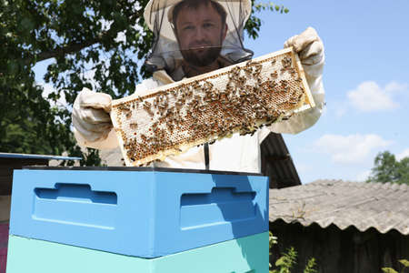 Beekeeper in mask and protective suit holds honeycomb with bees closeup