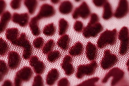 Red transparent fabric mesh with leopard print backgroundの写真素材
