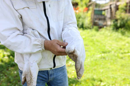 Beekeeper puts on protective gloves in apiary closeupの写真素材