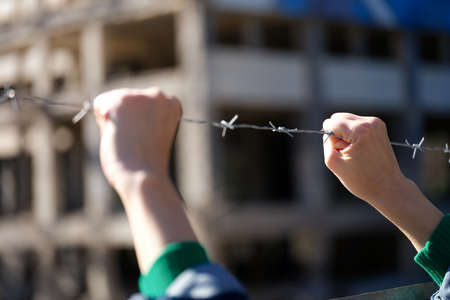 Female hands holding security barbedwire fence, wire with clusters of short, sharp spikesの写真素材