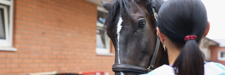 Veterinarian conducts medical examination of horse on farmの写真素材