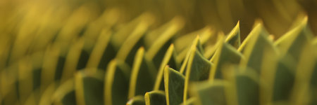 Leaf blurred background closeup. Organic nature concept